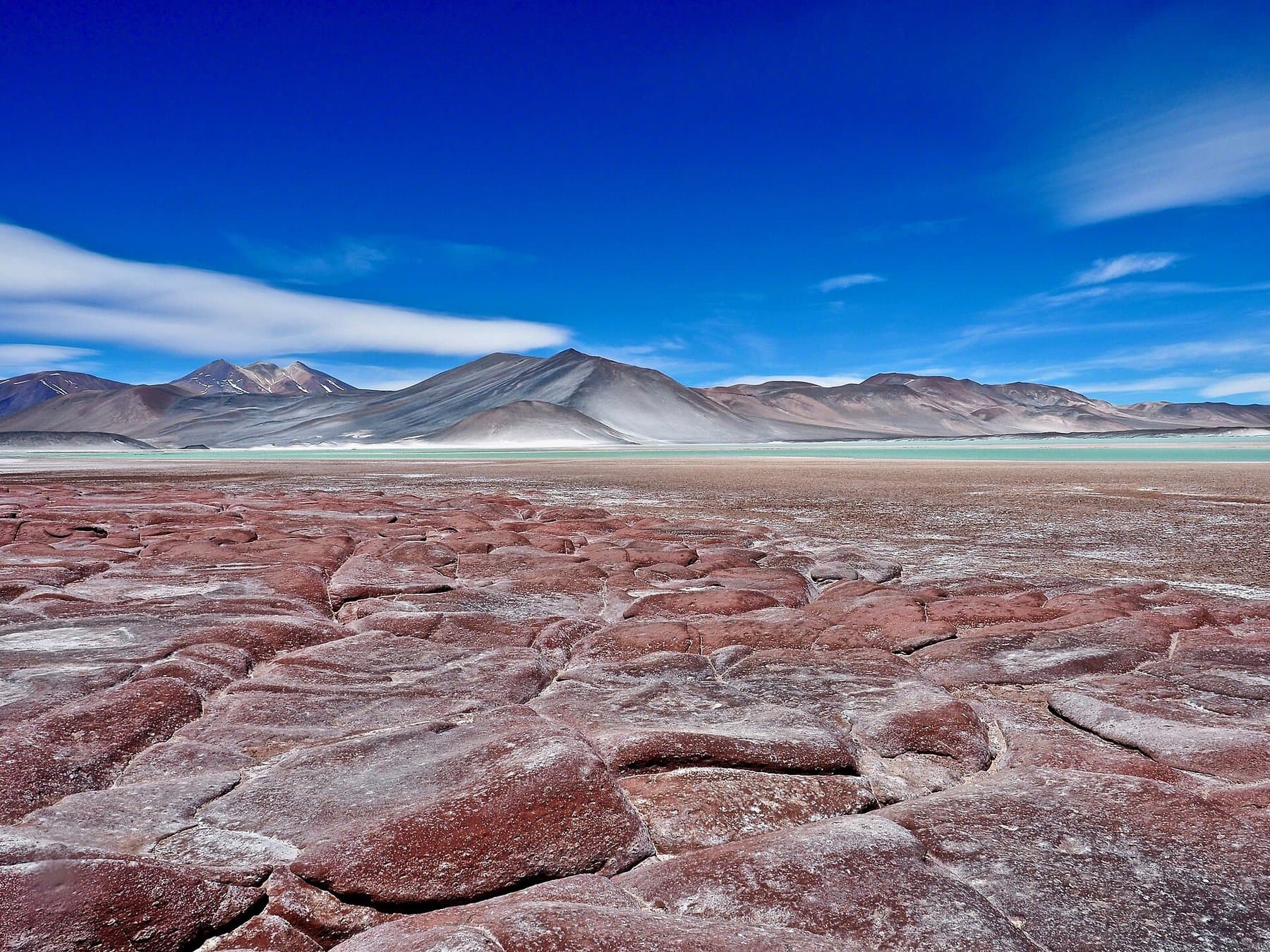 Piedras Rojas, no Deserto do Atacama